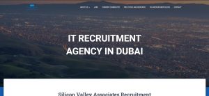 10. Silicon Valley Associates Recruitment